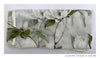 Organza printed tablecloth - white magnolia